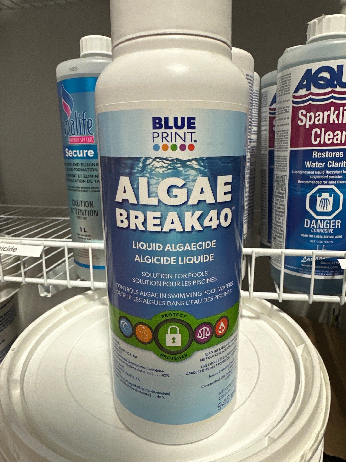 Algae Break 40