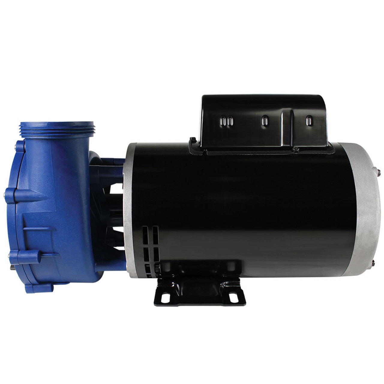 Maelstrom 3HP Hot Tub Pump, 230 Volt, 2" x 2"